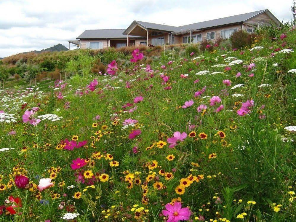 Kaimai Country Lodge Katikati Exterior photo